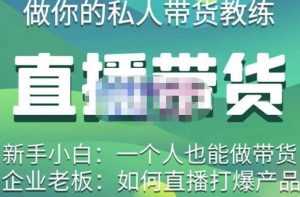 硬核传媒·直播带货(私人教练),实操实战教学,通俗易懂,学完后新手小白一个人也能做带货-5D资源网
