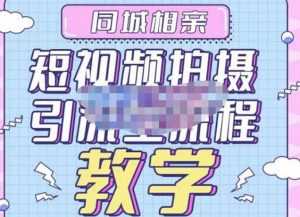 心动学堂·同城相亲短视频矩阵起号-引流-拍摄进阶,带你做好同城相亲,引流全流程教学-5D资源网