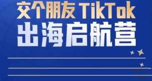 TikTok商家出海启航营:教你TikTok跨境电商的底层逻辑,即使是零基础的你也可以快速上手-5D资源网