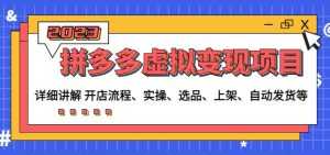 程哥拼多多虚拟变现项目：讲解开店流程-实操-选品-上架-自动发货等-5D资源网