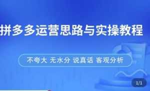 拼多多店铺运营思路与实操教程,快速学会拼多多开店和运营,少踩坑,多盈利-5D资源网