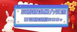 豆瓣精准暴力引流,日引精准粉500+【12课时】-5D资源网