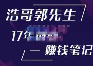 浩哥郭先生17年创业赚米笔记,打开你对很多东西的认知,让你知道原来赚钱或创业不单单是发力就行-5D资源网