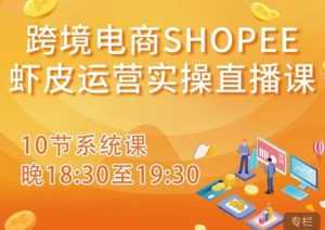 跨境电商Shopee虾皮运营实操直播课,从零开始学,入门到精通(10节系统课)-5D资源网