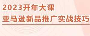 2023亚马逊新品推广实战技巧，线下百万美金课程的精简版，简单粗暴可复制，实操性强的推广手段-5D资源网