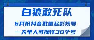 白狼敢死队最新抖音短视频批量起影视号(一天单人可操作30个号)视频课程-5D资源网