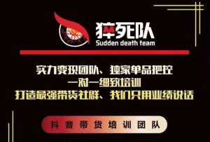 猝死队抖音短视频培训6.22最新课程：新品贝壳鞋最新玩法+最新破不适宜公开-5D资源网