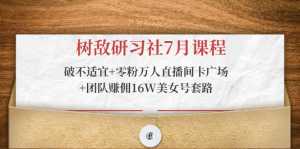 树敌研习社7月课程：破不适宜+零粉万人直播间卡广场+团队赚佣16W美女号套路-5D资源网