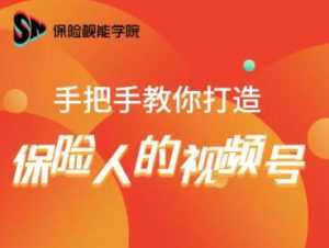 保险视能学院:手把手教你打造保险人的视频号【视频课程】-5D资源网
