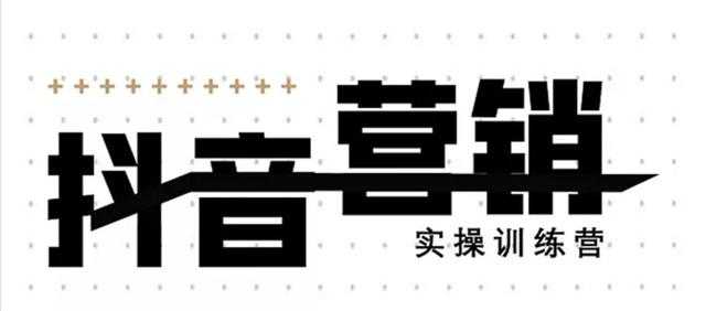 《12天线上抖音营销实操训练营》通过框架布局实现自动化引流变现-5D资源网