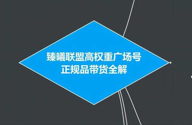 图片[1]-臻曦联盟抖音高权重广场号无人直播正规品带货全解-5D资源网