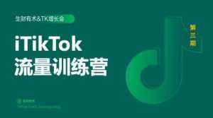 2020最新TikTok流量增长训练营（完结）附PPT-5D资源网