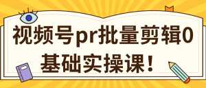 视频号PR批量剪辑0基础实操课，PR批量处理伪原创一分钟一个视频【共2节】-5D资源网