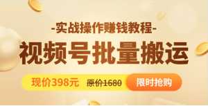 视频号批量运营实战教程,让你一天创作100个高质量视频,日引5W+流量-5D资源网