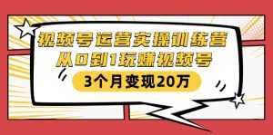视频号运营实操训练营:从0到1玩赚视频号,3个月变现20万-5D资源网