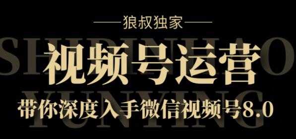 狼叔独家：视频号8.0运营实战课价值1280元-5D资源网