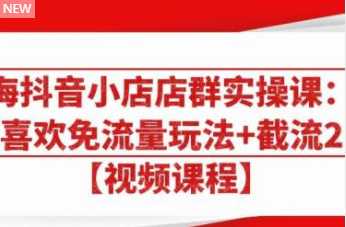 大海抖音小店店群实操课：猜你喜欢免流量玩法+截流 2.0-5D资源网