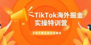 TikTok海外掘金实操特训营：手把手教运营变现赚钱-5D资源网