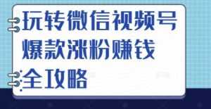 玩转微信视频号爆款涨粉赚钱全攻略，让你快速抓住流量风口，收获红利财富-5D资源网