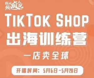 疯人院:TikTok Shop出海训练营（一店卖全球)，出海抢占全球新流量-5D资源网