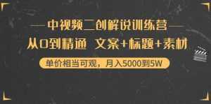 中视频二创解说训练营:从0到精通 文案+标题+素材、月入5000到5W-5D资源网