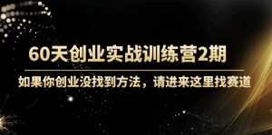 60天创业实战训练营2期:如果你创业没找到方法,进来这里找赛道-价值3000元-5D资源网