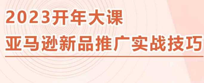 2023亚马逊新品推广实战技巧，线下百万美金课程的精简版，简单粗暴可复制，实操性强的推广手段-5D资源网