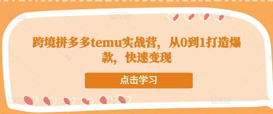 跨境拼多多temu实战营，从0到1打造爆款，快速变现-5D资源网