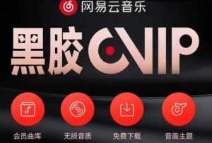 网易云音乐撸黑胶年卡及变现方法,收益可无限放大-5D资源网
