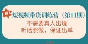 视频带货训练营,不需要真人出境,听话照做,保证出单(第11期)-5D资源网