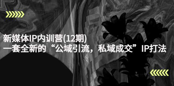 新媒体IP内训营(12期)，一套全新的“公域引流，私域成交”IP打法，直接带走-5D资源网