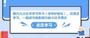 厦九九小红书学习年卡(全年IP孵化),沉浸式学习,一起成为有影响力的小红书博主-5D资源网
