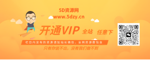 开通会员服务尊享网站特权+线下1对1服务-5D资源网