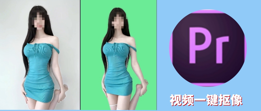 【工具】视频抠像，一键出绿幕素材，导入PR直接换背景-5D资源网