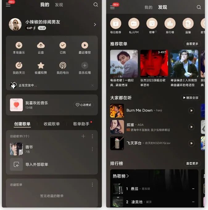 图片[2]-网抑云破解版最新，解锁永久SVIP-5D资源网