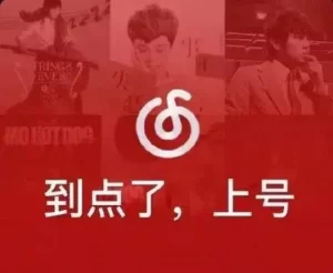 网抑云破解版最新,解锁永久SVIP-5D资源网