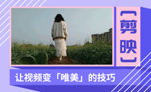 剪映特殊版,解锁全部会员功能,免安装便携且稳定-5D资源网