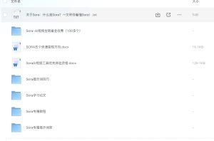 Sora AI视频全网最全教程、提示词、素材、学习论文(限时特惠)-5D资源网
