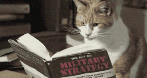 教育学习软件合集(安卓 + 电脑端)|解锁VIP课程免费看-5D资源网