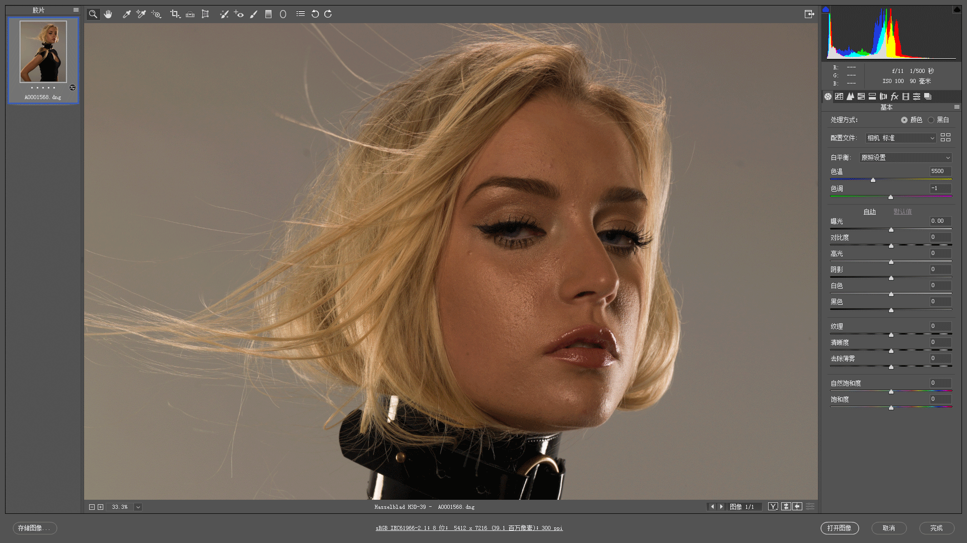 陈漫修图师 × 凌超｜人像修图秘技全集-5D资源网