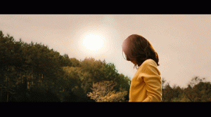 风光摄影后期调色与渲染系列教程-5D资源网