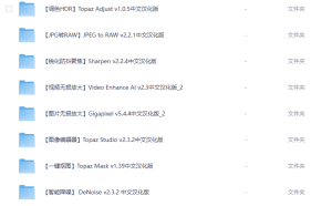 Topaz AI 全套汉化软件 8 套合集下载｜人工智能图像视频处理工具一站式解决方案-5D资源网