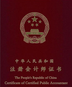 最新 2024 初级 + 中级 + 注册会计师（CPA）资料合集下载-5D资源网